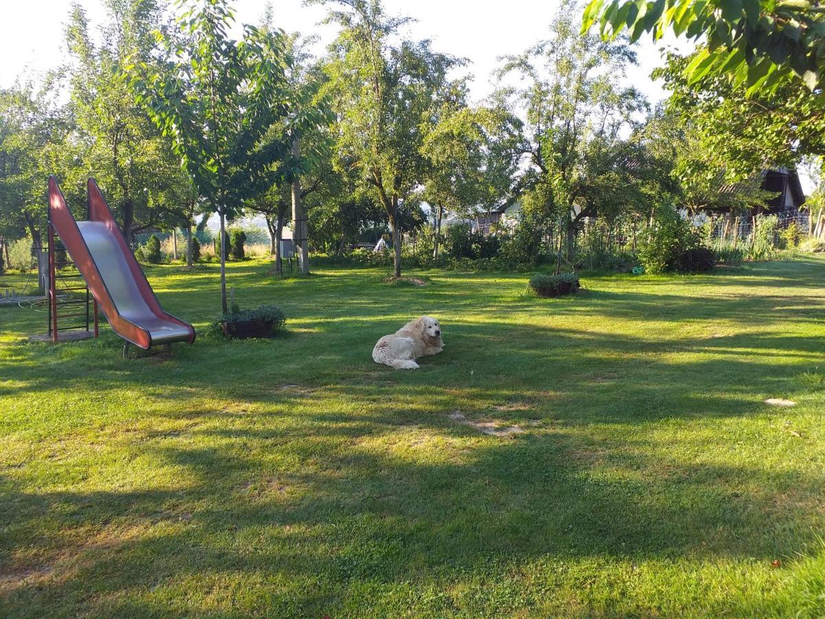 Camping Lukac Kutina Buitenkant foto