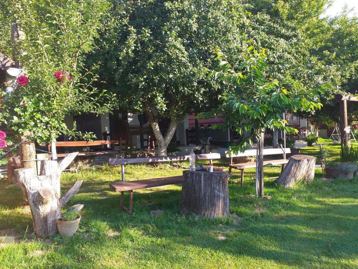 Camping Lukac Kutina Buitenkant foto