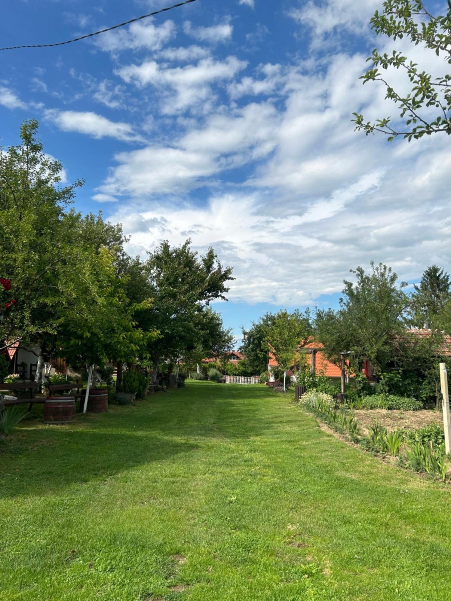 Camping Lukac Kutina Buitenkant foto