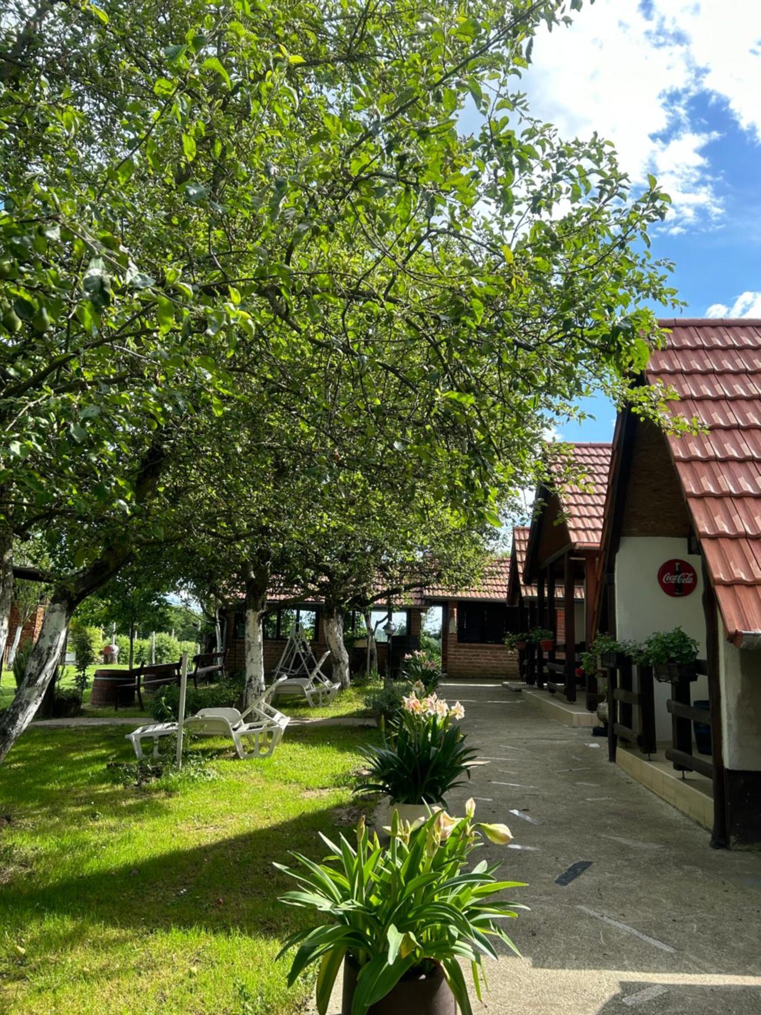 Camping Lukac Kutina Buitenkant foto