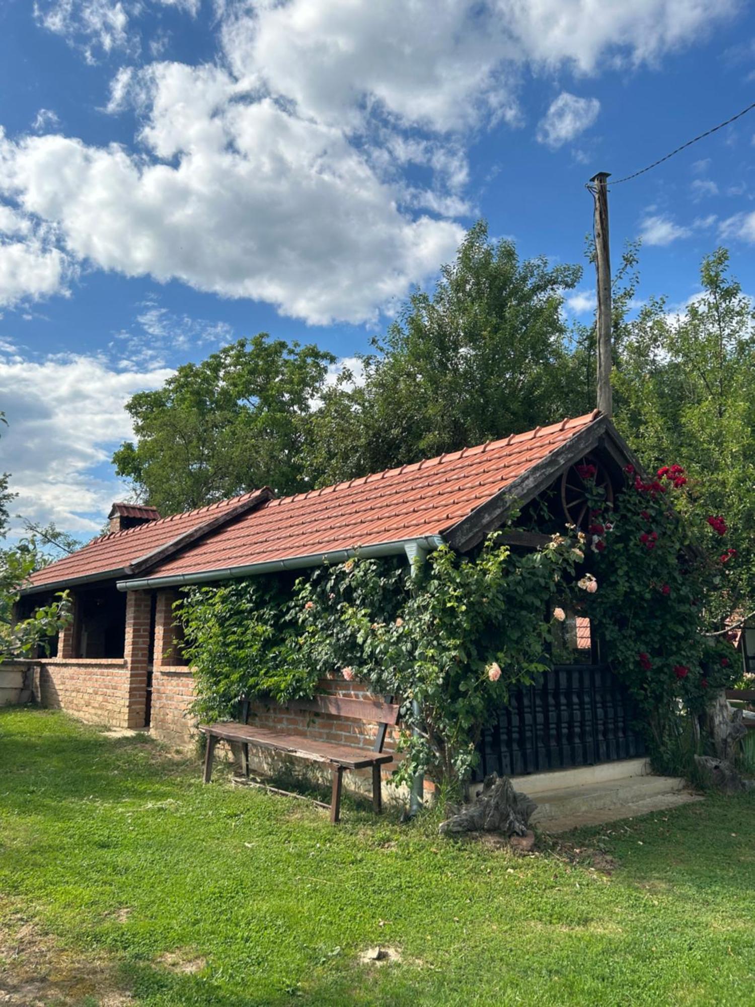 Camping Lukac Kutina Buitenkant foto