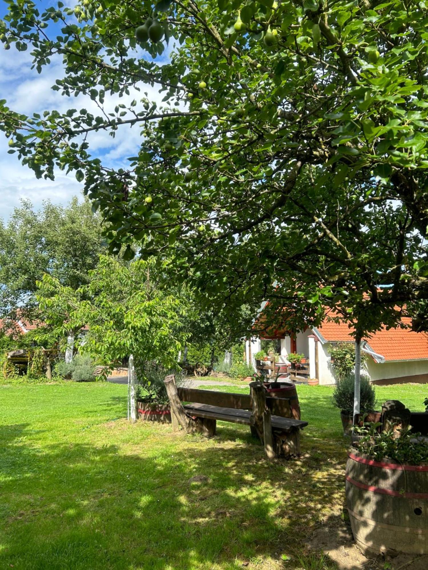 Camping Lukac Kutina Buitenkant foto